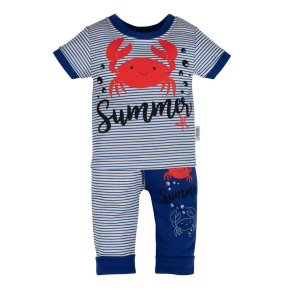 Kojenecké tričko s krátkým rukávem a tepláčky New Baby Summer Modrá 62 (3-6m)